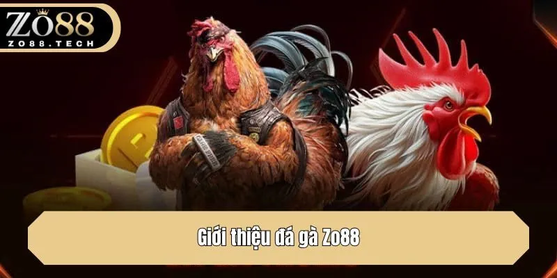 Giới thiệu đá gà Zo88